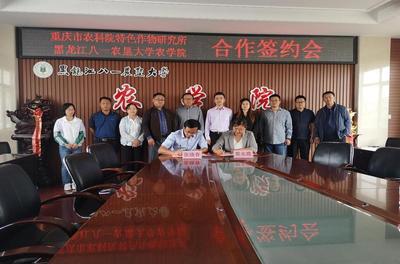 南北攜手筑種業新高地 農學院與重慶市農科院特色作物研究所深化合作，共促重慶特色作物技術升級